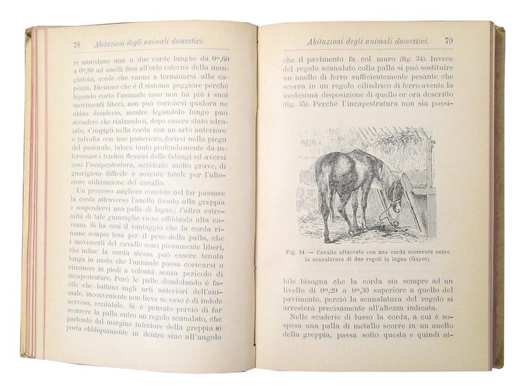 Abitazioni degli animali domestici del Dottor Ugo Barpi professore pareggiato …