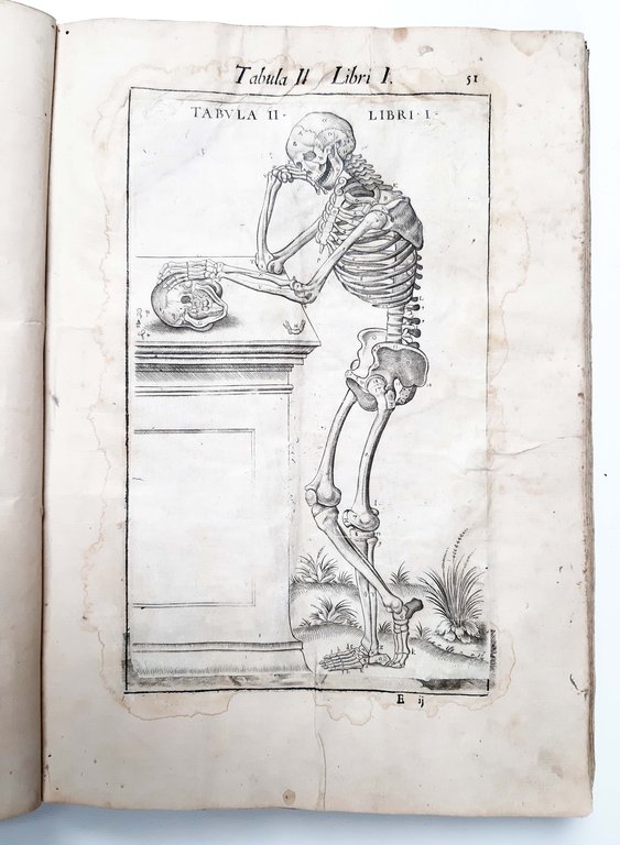 Anatome corporis humani, auctore Ioanne Valuerdo. Nunc primum a Michaele …