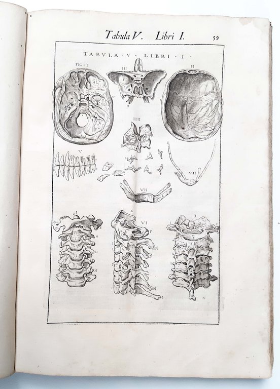 Anatome corporis humani, auctore Ioanne Valuerdo. Nunc primum a Michaele …