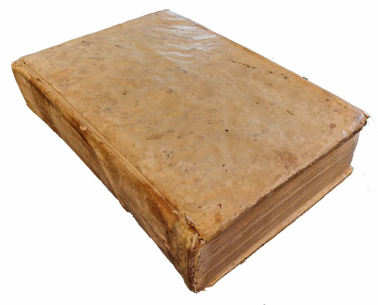 Aristotelous Peri zoon istorias. Aristotelis Historia de animalibus. Iulio Caesare … | Immagine Gallery 2