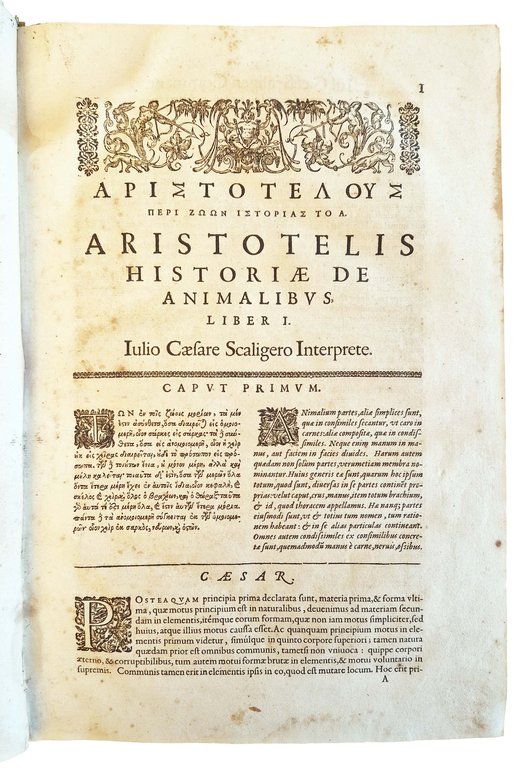 Aristotelous Peri zoon istorias. Aristotelis Historia de animalibus. Iulio Caesare … | Immagine Gallery 5
