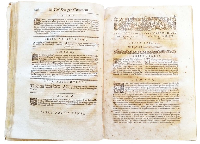 Aristotelous Peri zoon istorias. Aristotelis Historia de animalibus. Iulio Caesare … | Immagine Gallery 6