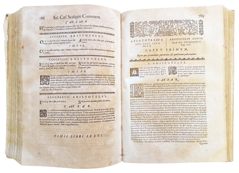 Aristotelous Peri zoon istorias. Aristotelis Historia de animalibus. Iulio Caesare … | Immagine Gallery 8