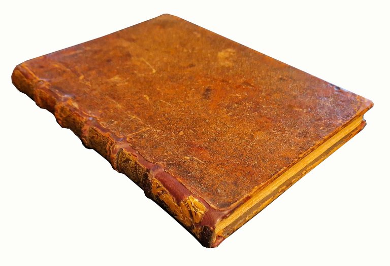 Avvedimenti civili, di m. GiovanFrancesco Lottini da Volterra. Al Serenissimo …