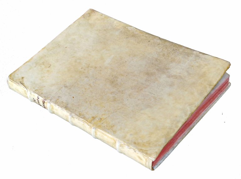 De gente Honestia. | Immagine Gallery 2