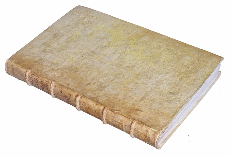 De occidente unum pro alio tractatio methodica, juridico-moralis, ac theorico-practica, … | Immagine Gallery 2