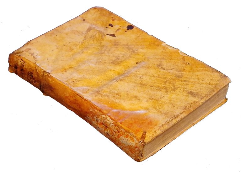 De vita et moribus Ignatii Loiolae, qui Societatem Iesu fundauit, … | Immagine Gallery 2