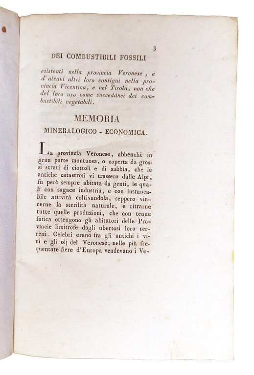 Dei combustibili fossili esistenti nella provincia veronese e d'alcuni altri …