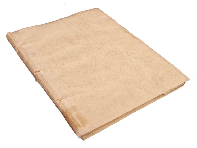 Dell'antico corso de' fiumi in Padova e ne' suoi contorni, … | Immagine Gallery 2