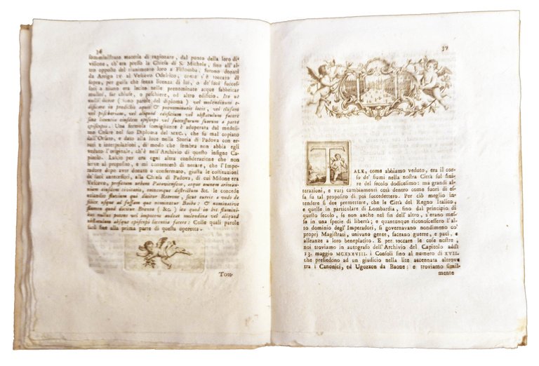 Dell'antico corso de' fiumi in Padova e ne' suoi contorni, … | Immagine Gallery 7