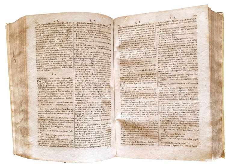 Dictionarium historicum, geographicum, poeticum. Authore Carolo Stephano. Gentium, hominum, deorum, … | Immagine Gallery 7