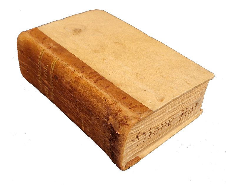 Dione. Delle guerre de Romani. Tradotto da M. Nicolo Leoniceno … | Immagine Gallery 2