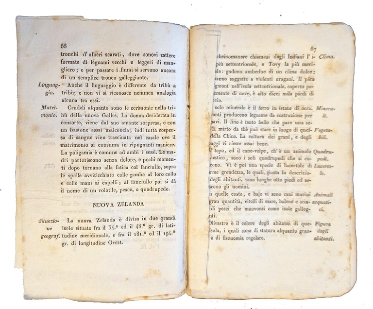 Indicatore veronese per l'anno 1835. Accresciuto nelle diverse classi di …