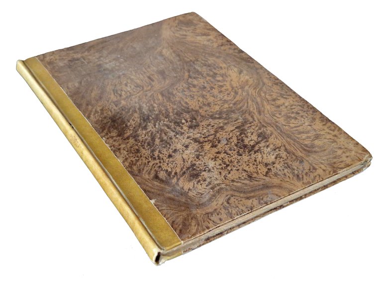 L'araldo overo dell'arme delle famiglie trattato compendioso di Gasparo Bombaci, … | Immagine Gallery 2