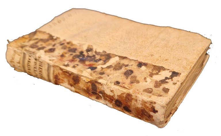 La bottega de' Chiribizzi del dottor Cesare Giudici. | Immagine Gallery 2