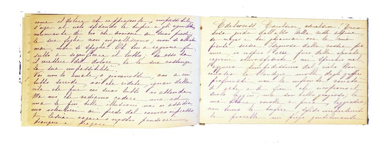 Manoscritto: Album. Langage des fleurs. | Immagine Gallery 10