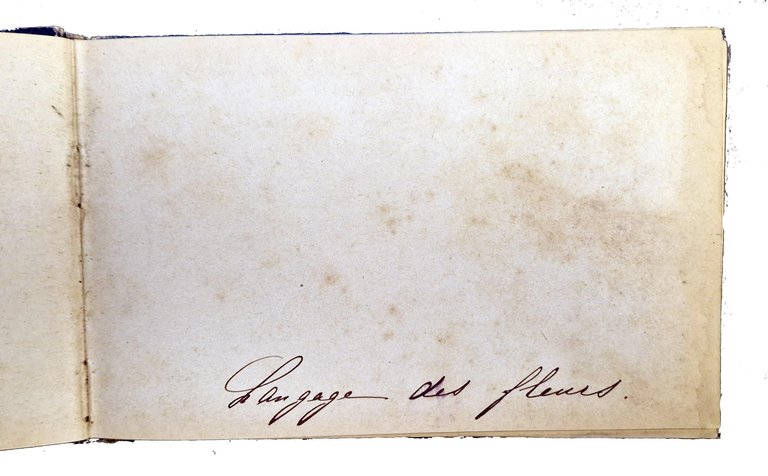 Manoscritto: Album. Langage des fleurs. | Immagine Gallery 3
