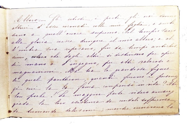 Manoscritto: Album. Langage des fleurs. | Immagine Gallery 5