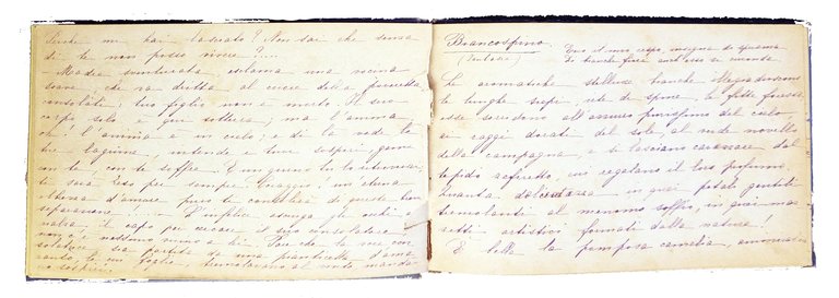 Manoscritto: Album. Langage des fleurs. | Immagine Gallery 6