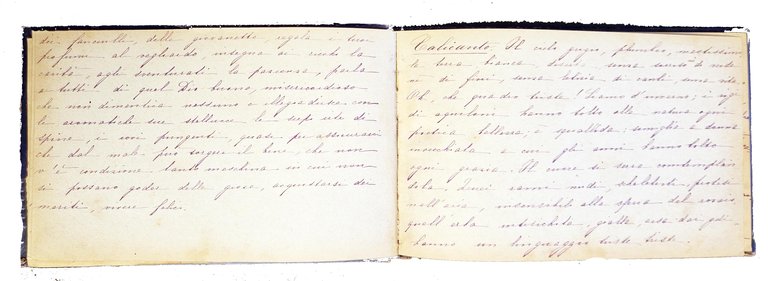 Manoscritto: Album. Langage des fleurs. | Immagine Gallery 7