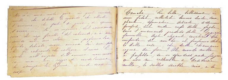 Manoscritto: Album. Langage des fleurs. | Immagine Gallery 8