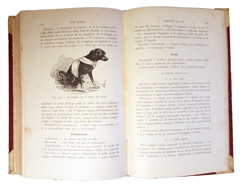 Manuale di chirurgia veterinaria. Traduzione italiana ed aggiunte del dott. …