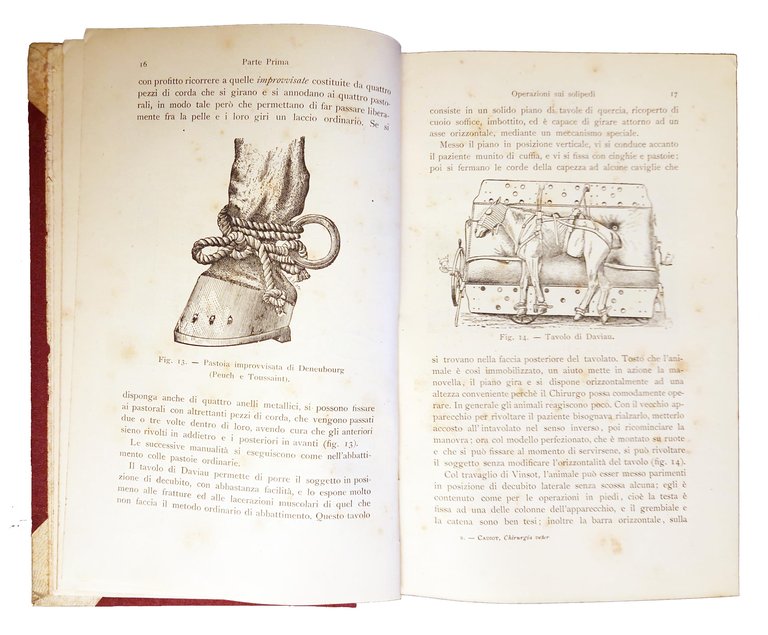 Manuale di chirurgia veterinaria. Traduzione italiana ed aggiunte del dott. …