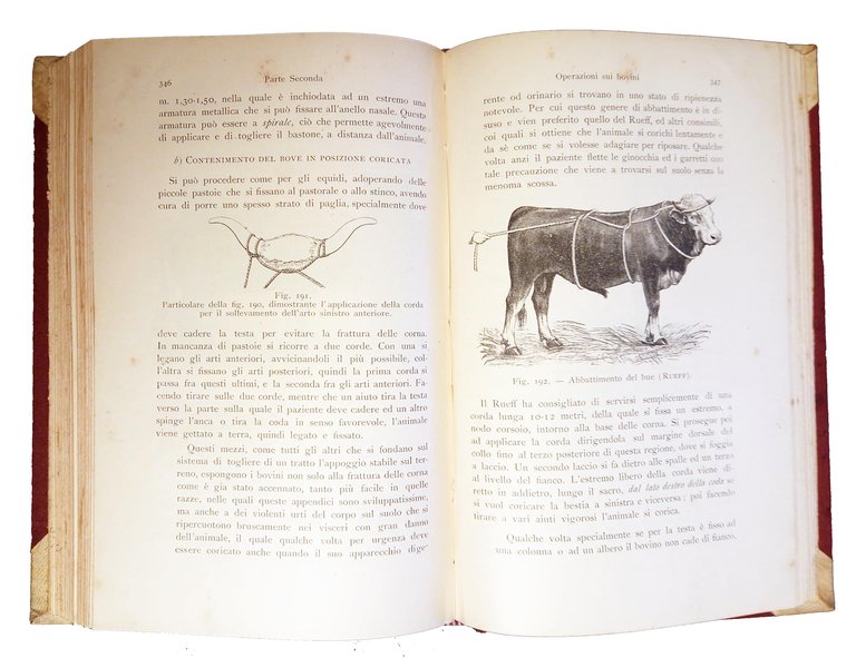 Manuale di chirurgia veterinaria. Traduzione italiana ed aggiunte del dott. …