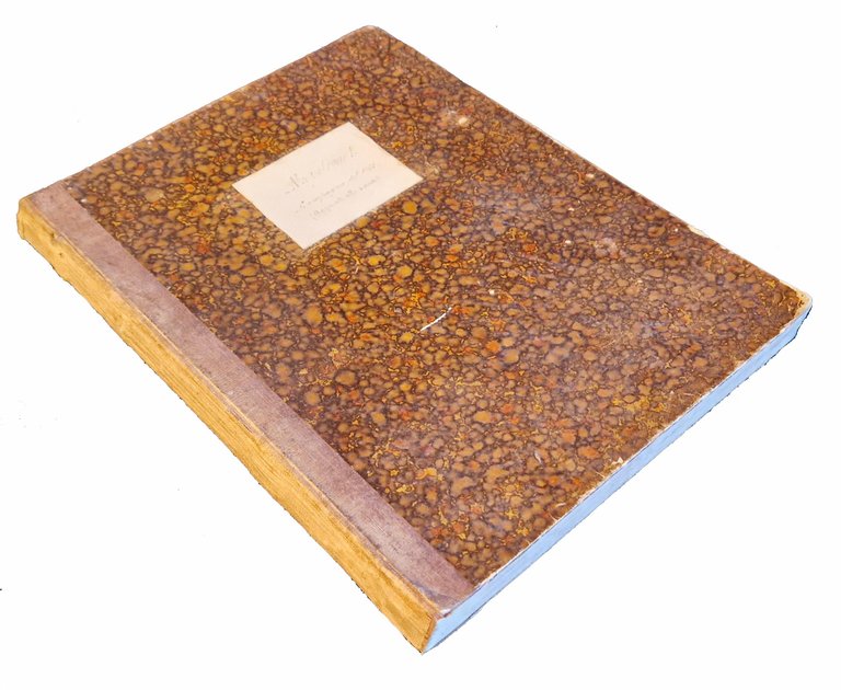 Napoleone I. Campagna del 1805 (Aggiunte alle sinossi). Sunto delle … | Immagine Gallery 2