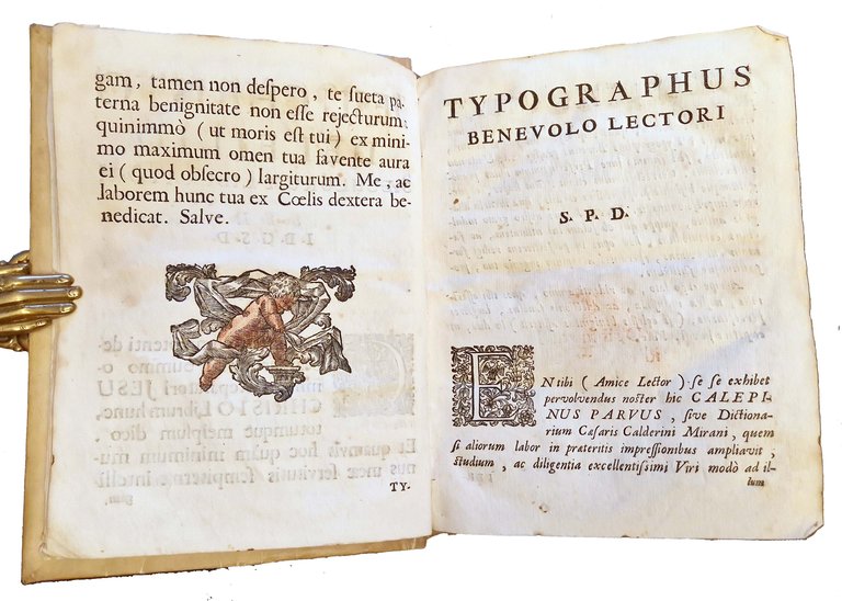 Perfectissimus Calepinus parvus, sive correctissimum dictionarium Caesaris Calderini Mirani, cui …