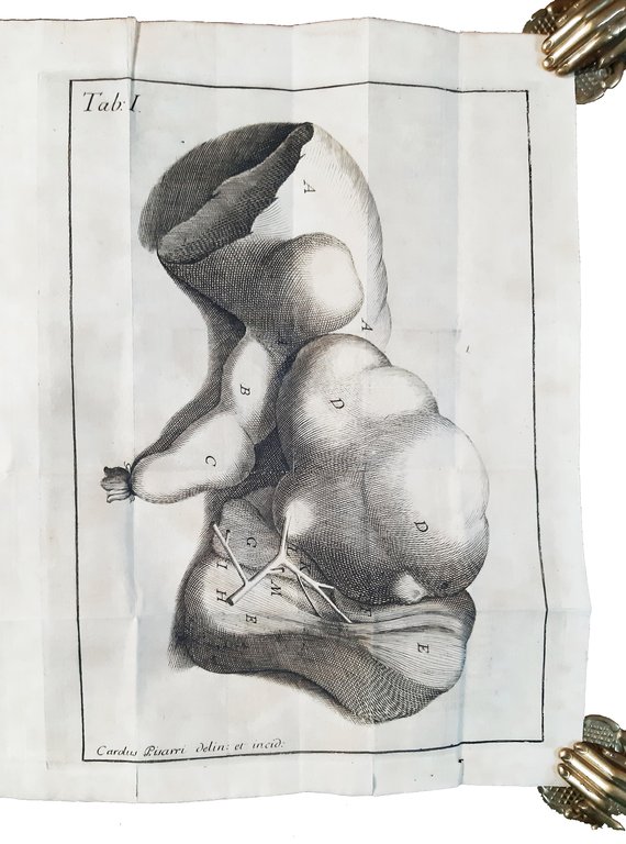 Petri Tabarrani . Observationes anatomicae in Bononiensis academiae instituti scientiarum …