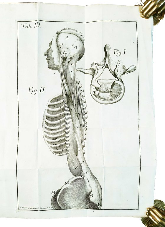 Petri Tabarrani . Observationes anatomicae in Bononiensis academiae instituti scientiarum …