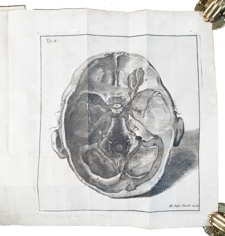 Petri Tabarrani . Observationes anatomicae in Bononiensis academiae instituti scientiarum …