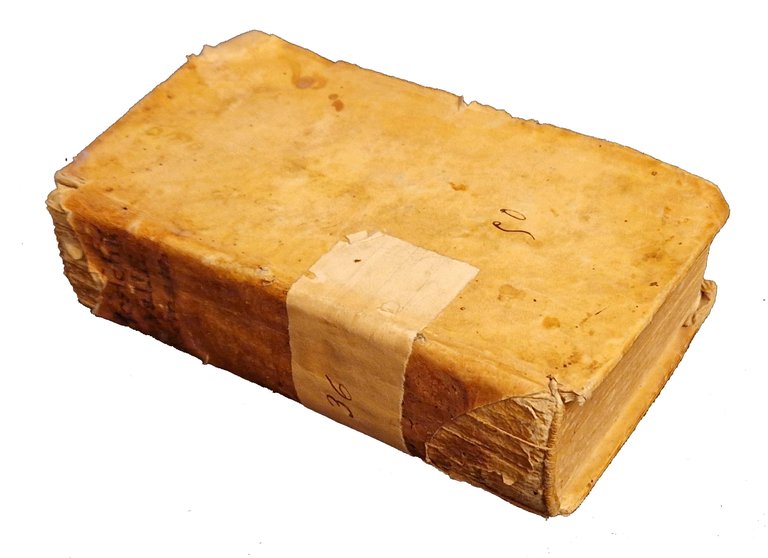 Sidronii Hosschij e Societate Jesu Elegiarum libri sex. Item Guilielmi … | Immagine Gallery 2