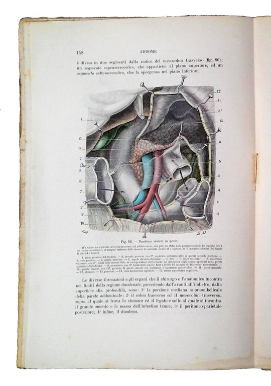 Trattato di anatomia topografica: con applicazioni medico-chirurgiche di L. Testut …