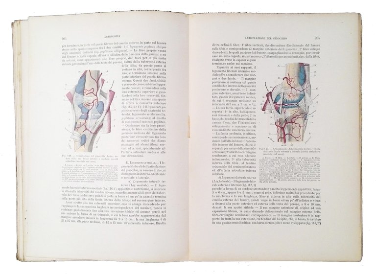 Trattato di anatomia umana: anatomia descrittiva, istologia, sviluppo di L. …