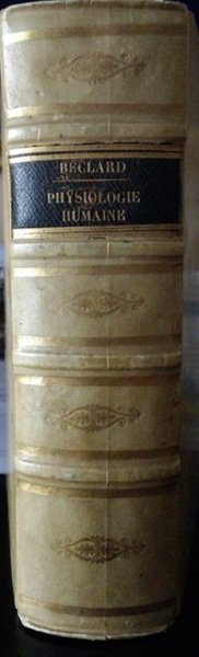 Traité élémentaire de physiologie humaine comprenant les principales notions de …