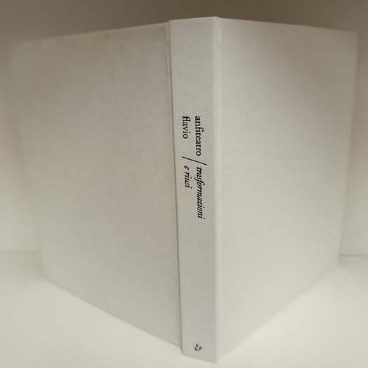 Anfiteatro Flavio. Trasformazioni e riusi. Ediz. illustrata | Immagine Gallery 2