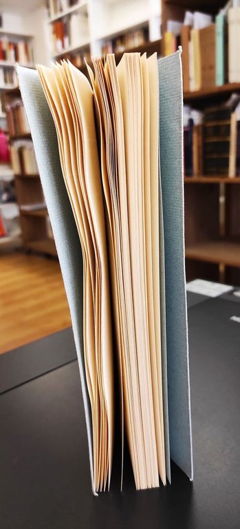 Avventure di un abate vestito da donna, Trad. A. L. …