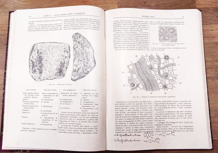 Botanica farmaceutica. Bescrizione delle piante medicinali e caratteri farmacognostici delle …