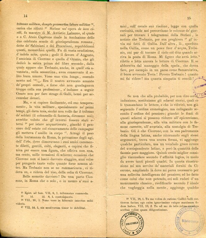 Consularis scurra | Immagine Gallery 2