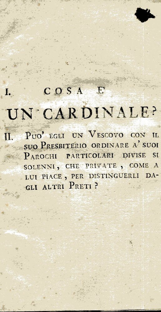 Cosa è un Cardinale? Puo' egli un Vescovo con il … | Immagine principale