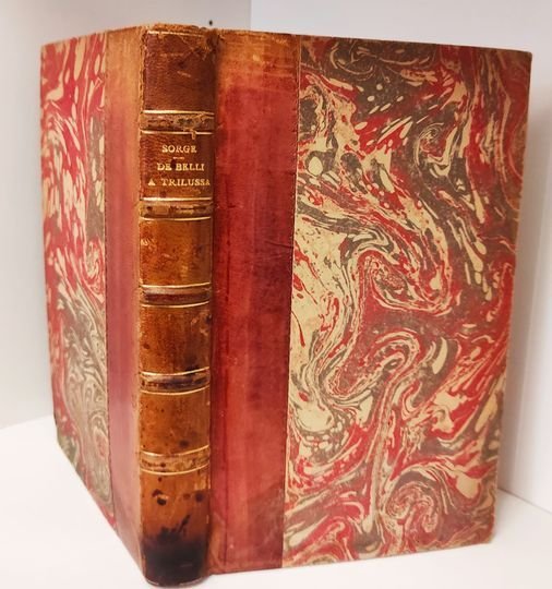 De Belli a Trilussa. La portée humaine de la poesie …