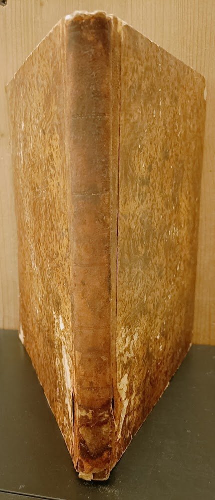 Des Albius Tibullus Werke, Der Sulpicia Elegien Und Einige Elegische …