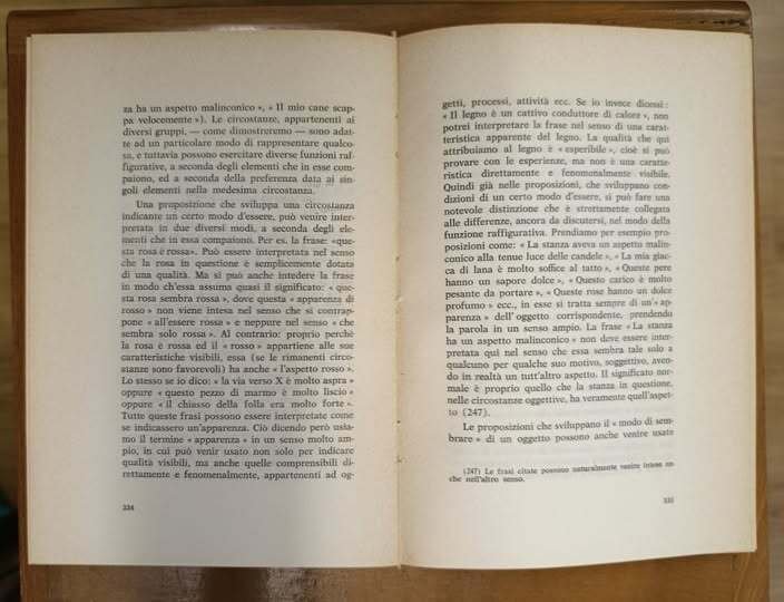 Fenomenologia dell'opera letteraria