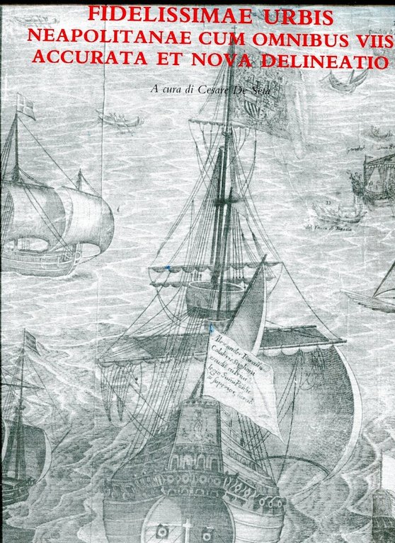 Fidelissimae urbis. Neapolitanae cum omnibus voos accurata et nova delineatio. …