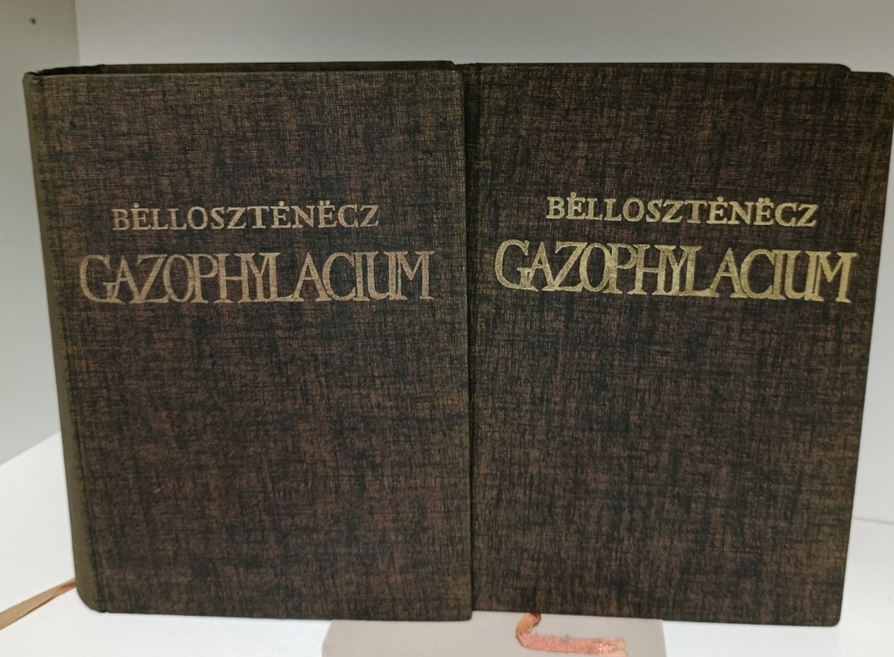 Gazophylacium, seu latino-illyricorum onomatum ærarium selectioribus synonimis, phraseologiis, verborum constructionibus … | Immagine principale