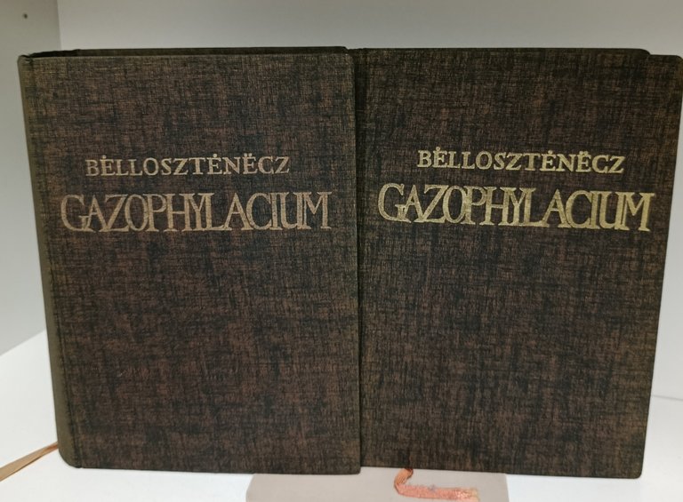 Gazophylacium, seu latino-illyricorum onomatum ærarium selectioribus synonimis, phraseologiis, verborum constructionibus … | Immagine Gallery 1