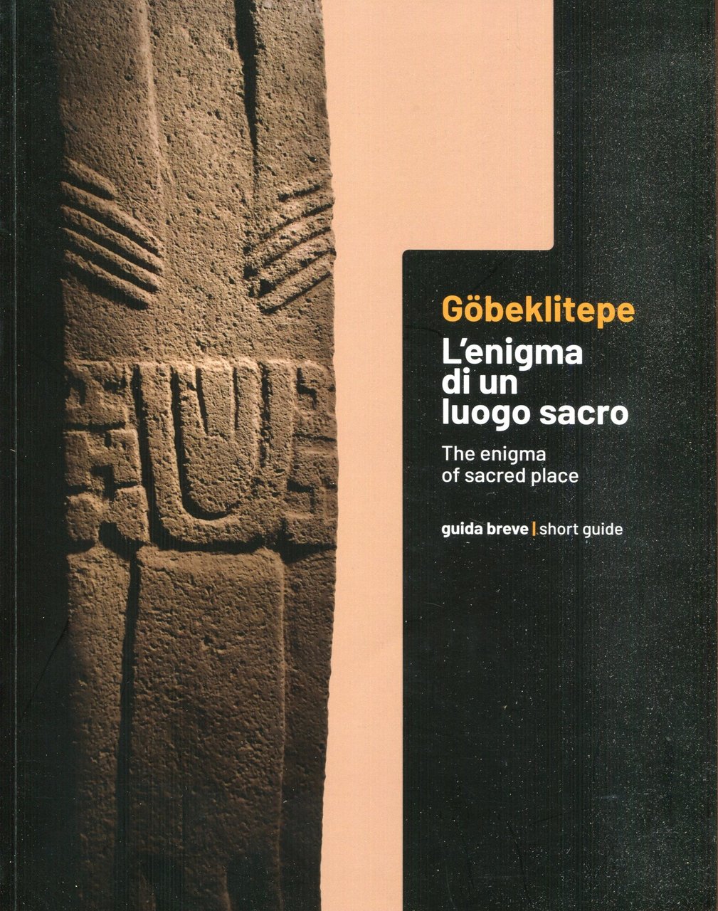 Göbeklitepe: L'enigma di un luogo sacro/ the enigma of sacred … | Immagine principale