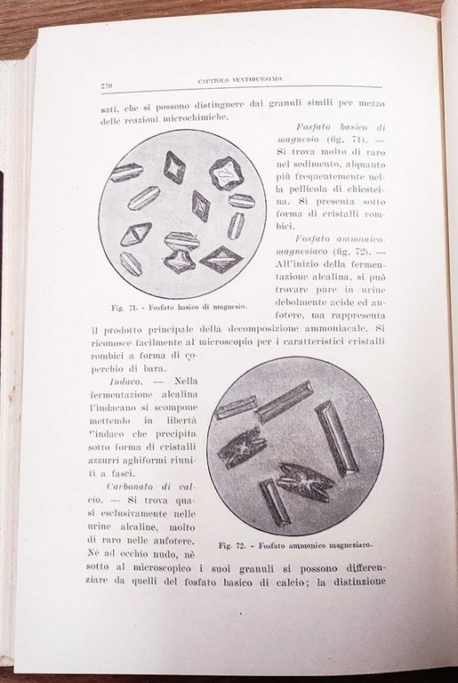 Guida pratica all'analisi chimica applicata alla fisiologia normale e patologica. … | Immagine Gallery 7